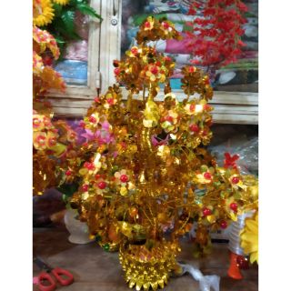 Cây cành vàng lá ngọc