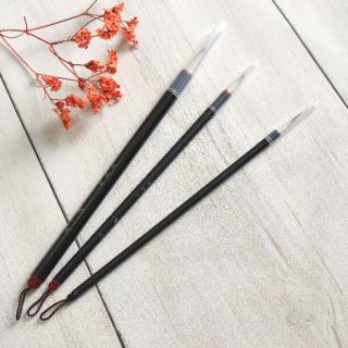 Bộ cọ Manh Tân - Hội Vật Chí (có sẵn)