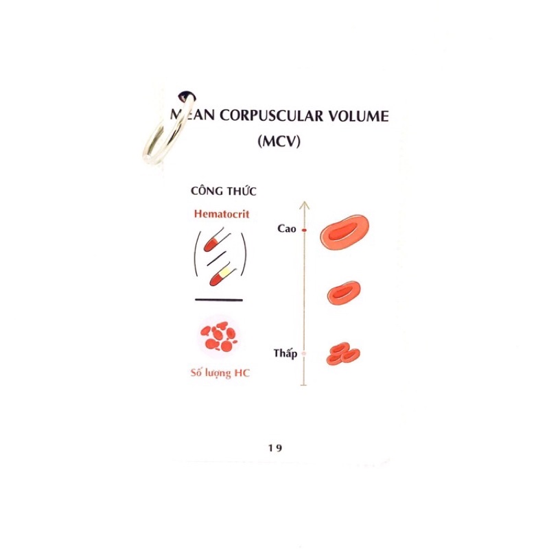 Sổ tay FA sinh lý máu