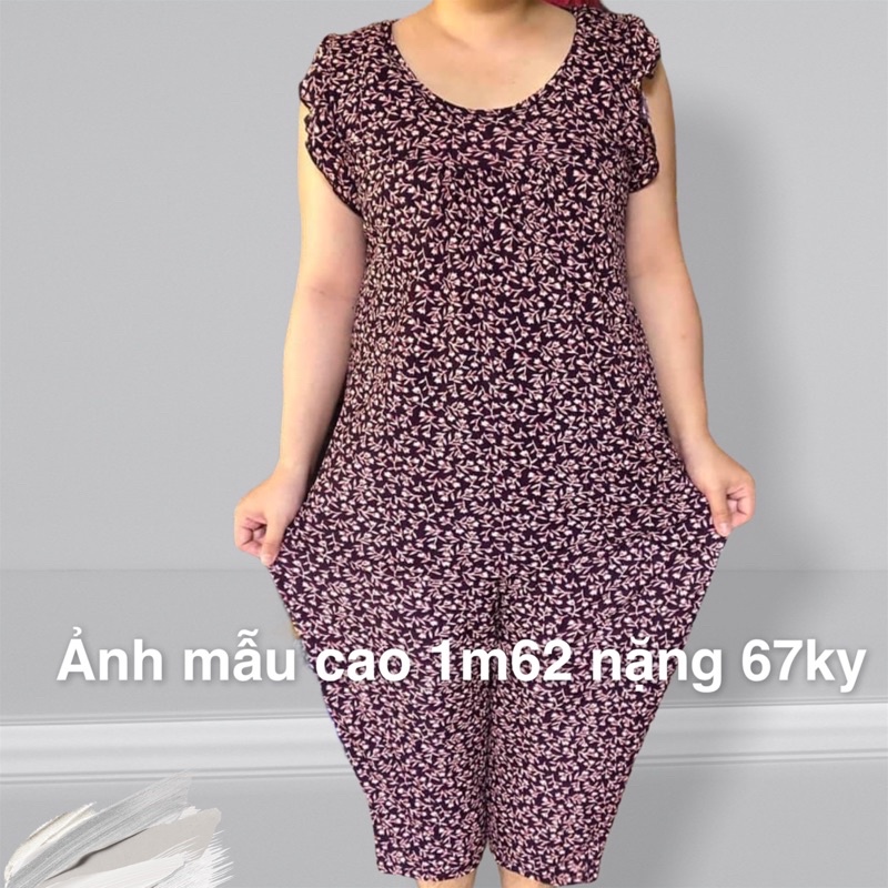 Bộ Thun Ati Hoạ Tiết Quần Lửng Hàng Loại 1