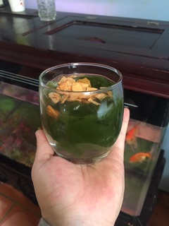 Bột thạch găng 1kg