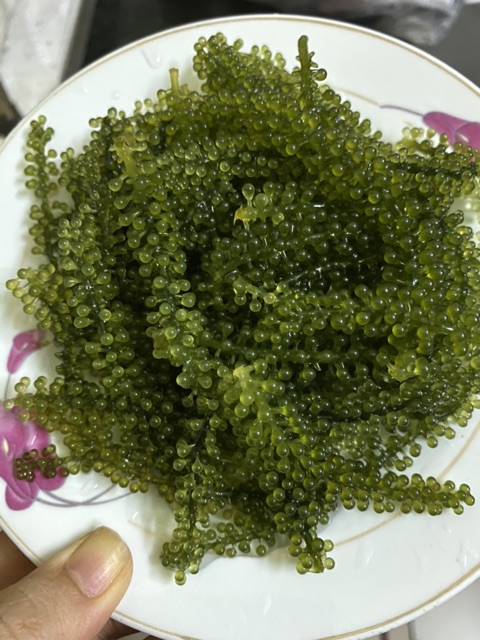 5 gói rong tách nước  kèm 5 sôt mè