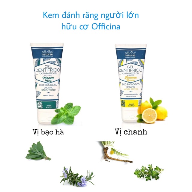 Kem đánh răng người lớn hữu cơ Officina