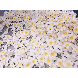 Hoa đại cài tóc siêu đẹp