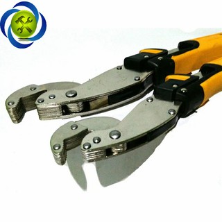 CỜ LÊ BUDDY BA0138