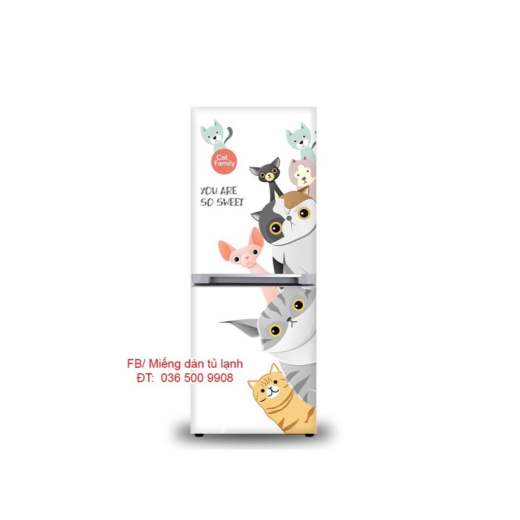 miengdantulanh, Cửa hàng trực tuyến | BigBuy360 - bigbuy360.vn