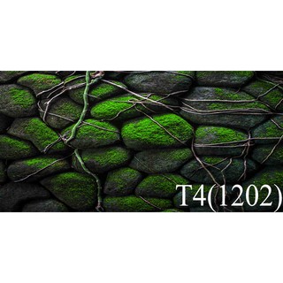 Tranh dán hồ cá 3d , hồ cá rồng , la hán , cá dĩa …