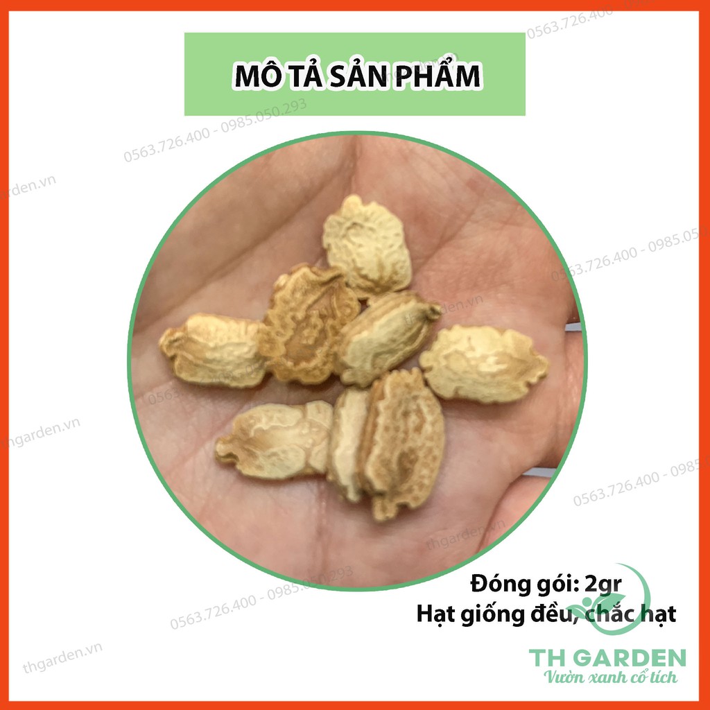 Hạt Giống Mướp Đắng  - Năng Suất Cao, Dễ Trồng