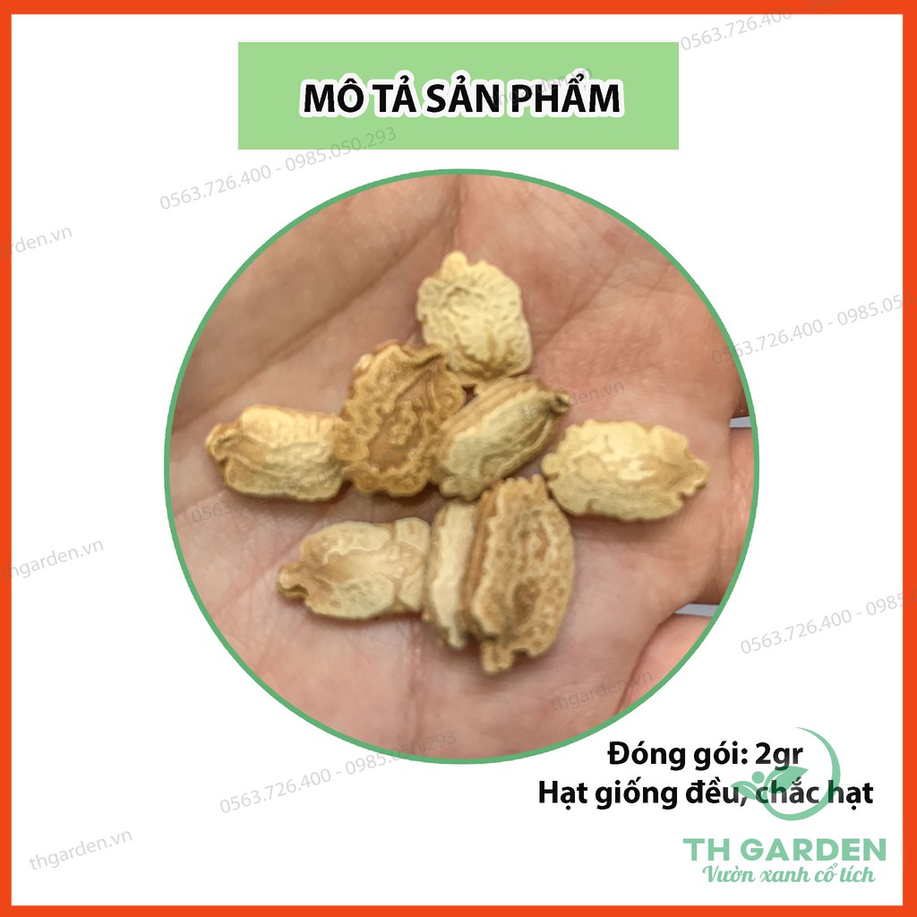 Hạt Giống Mướp Đắng ( Hạt Giống Khổ Qua) - Năng Suất Cao, Dễ Trồng