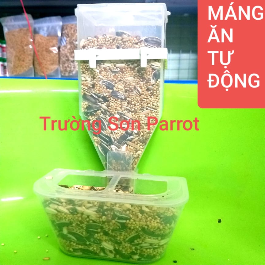 Máng ăn tự động cho gà, chim cảnh, vẹt....