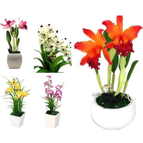 (Chọn Mẫu) Chậu Hoa Đất Sét Trung 10x8cm