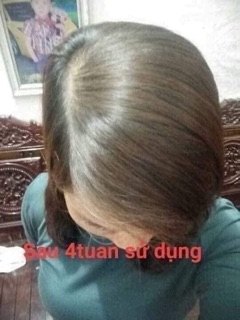 Dầu gội-xả thảo mộc Herbal