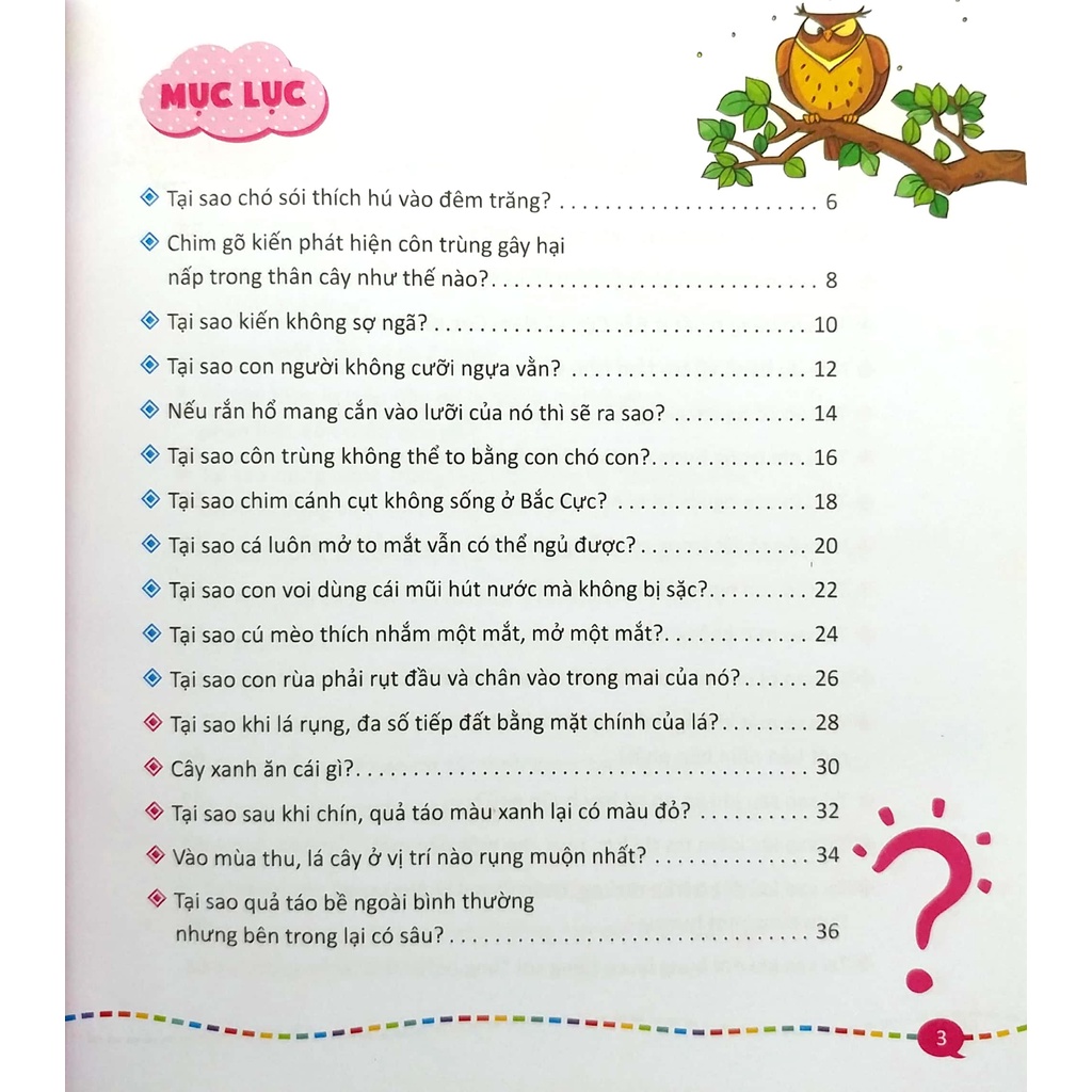 Sách Thiếu Nhi - 10 Vạn Câu Hỏi Vì Sao - Quyển 5: Bách Khoa Tri Thức Thiếu Nhi