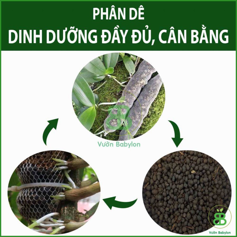 Phân Dê Túi Lưới ⚜️FREESHIP⚜️ Bón Lan combo 20 túi 10cm Tiện Dụng [ Đã Xử Lý Nấm ]