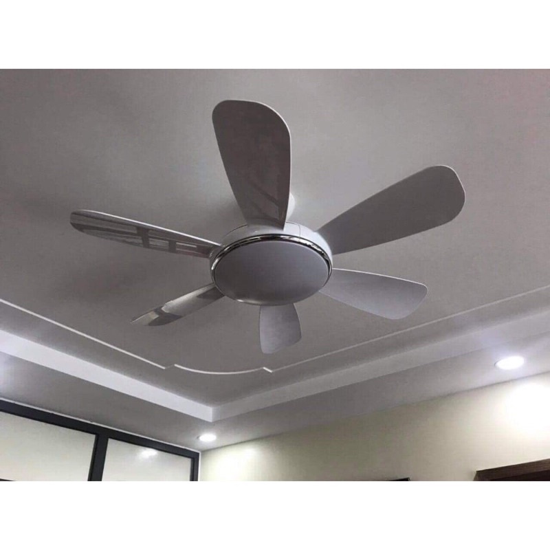 Quạt trầnQuạt trần đèn 6 Cánh trắng có bảo hành
