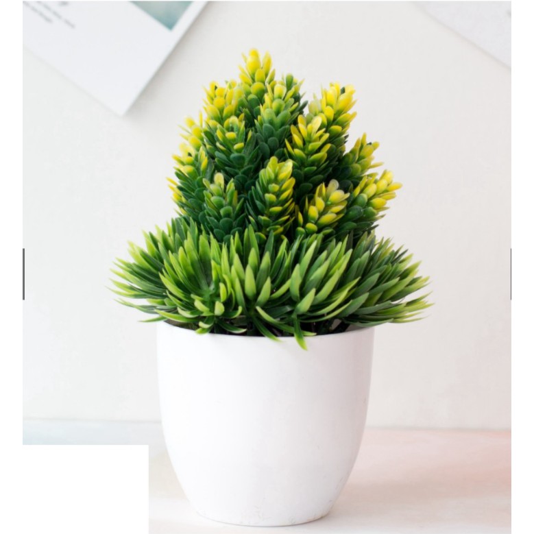 Cây giả - chậu cây có hoa nhiều mẫu trang trí ( đọc kỹ thông tin sản phẩm) | BigBuy360 - bigbuy360.vn