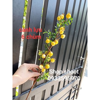 CÀNH LỰU TÀI LỘC CHƯNG TẾT