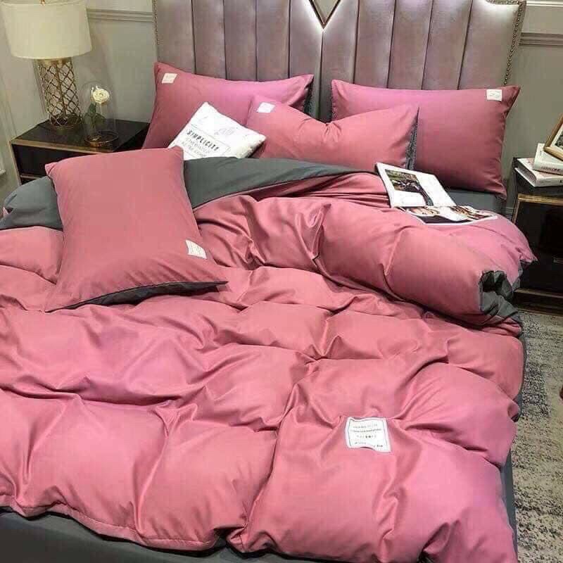 [RẺ VÔ ĐỊCH] Bộ vỏ chăn ga cotton Tici cao cấp nhập khẩu phong cách  Hàn Quốc | BigBuy360 - bigbuy360.vn