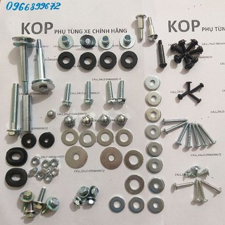 bộ ốc bắt dàn áo xe DREAM -KOPT