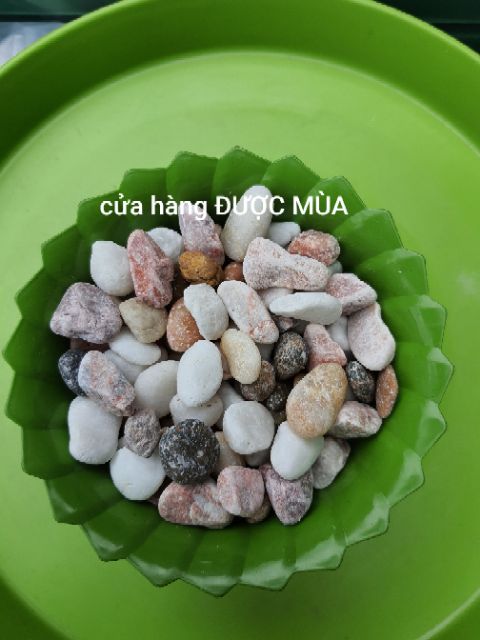 Sỏi trang trí chậu cây, hồ cá -500gr