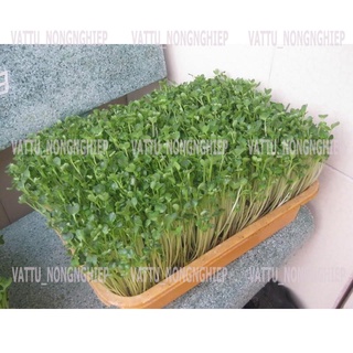 Đất Trồng Rau Hữu Cơ ORGANIC SOIL (20dm3)