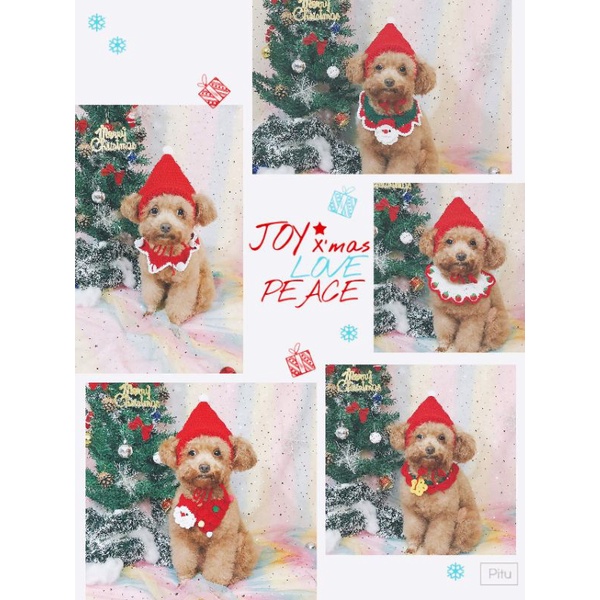 [order] yếm noel cho chó mèo