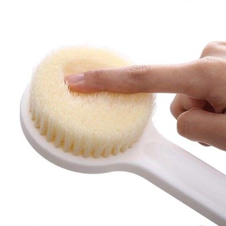 Cây bông tắm muji