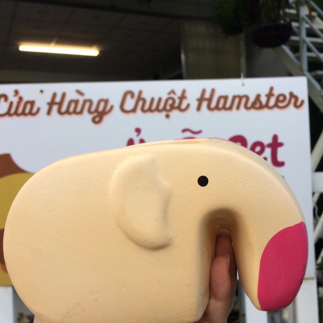 VOI ĐẤT ĐA NĂNG làm chén ăn, nhà ngủ, nhà tắm cho hamster, sóc, bọ, nhím