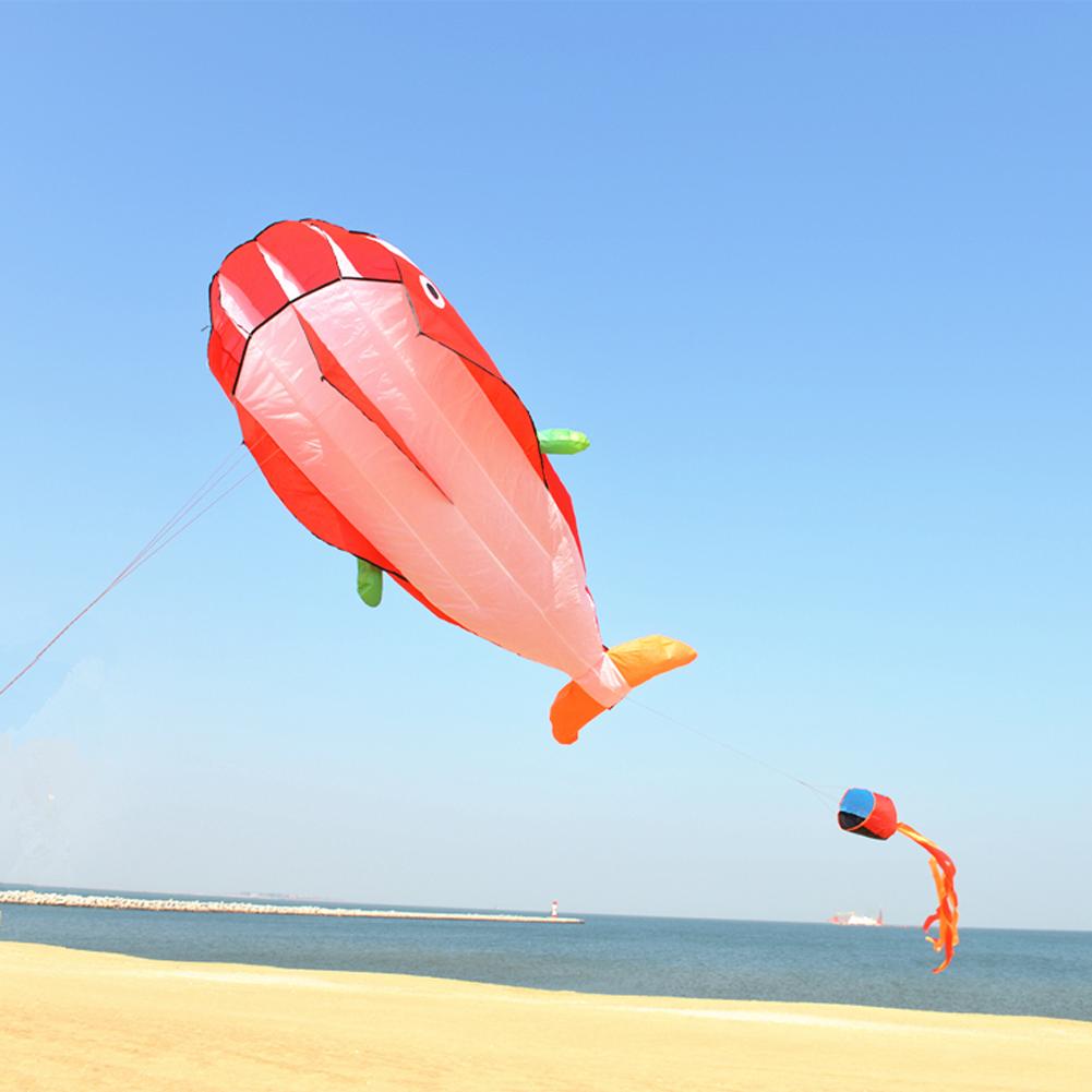 Boys Girls Kids New Huge 3D 1.2*2.1m Single Line Dolphin Sport Flying Kite Outdoor