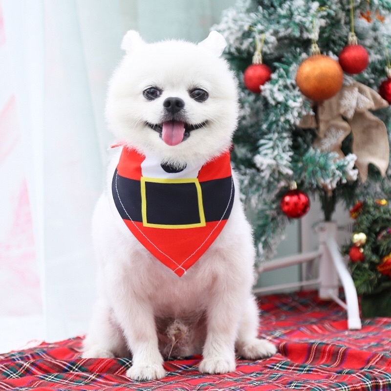 BST NOEL YẾM GIÁNG SINH VUI VẺ KIỂU TỤ CỘT DÀNH CHO THÚ CƯNG