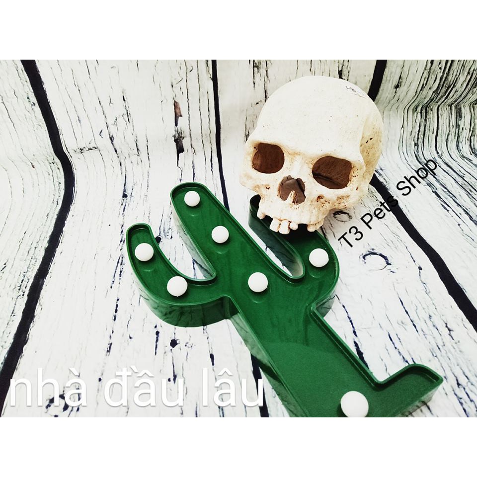 Nhà đầu lâu nửa đầu dành cho bò sát/hamster/đuôi mập halloween