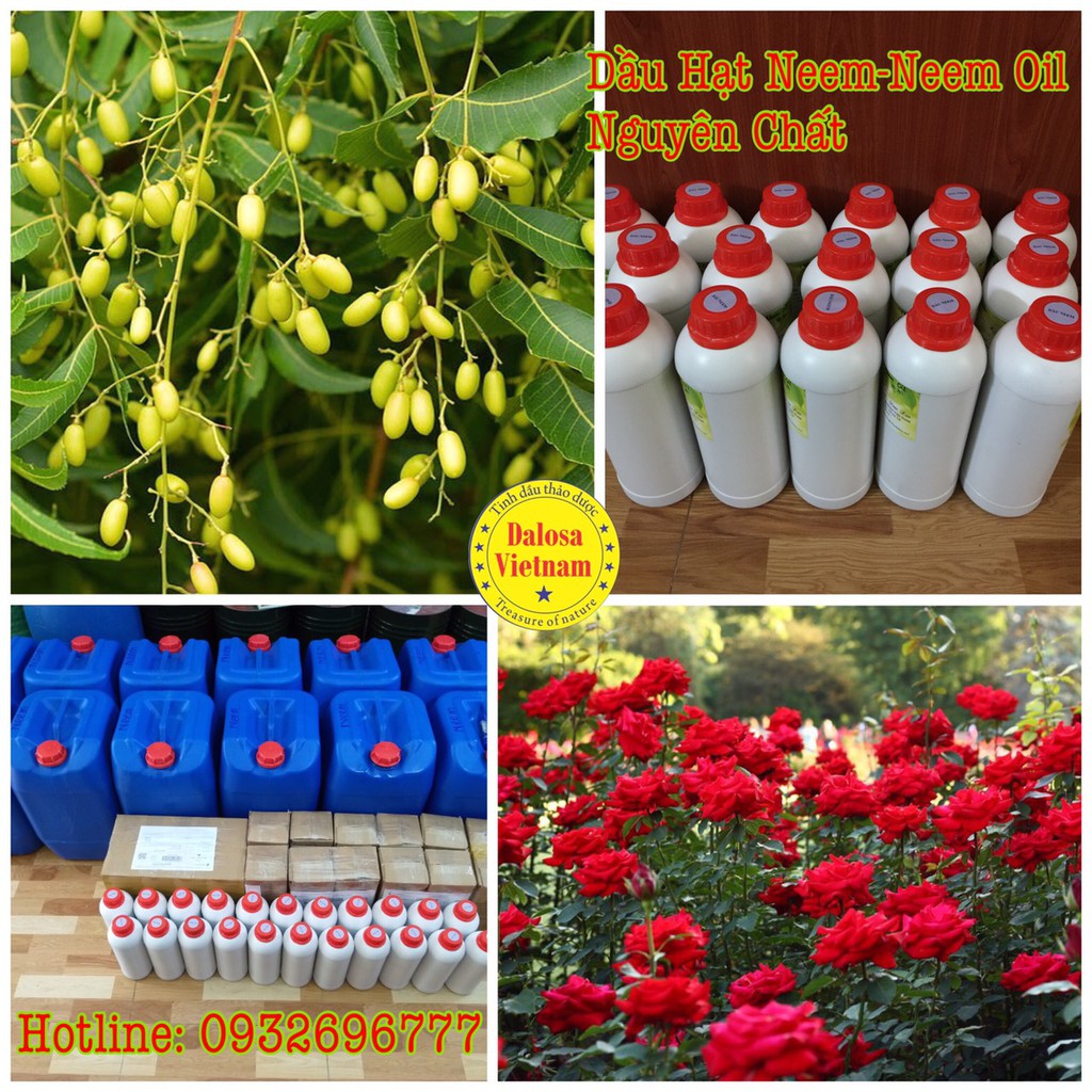 ORGANIC NEEM OIL HỮU CƠ NGUYÊN CHẤT 1 LÍT