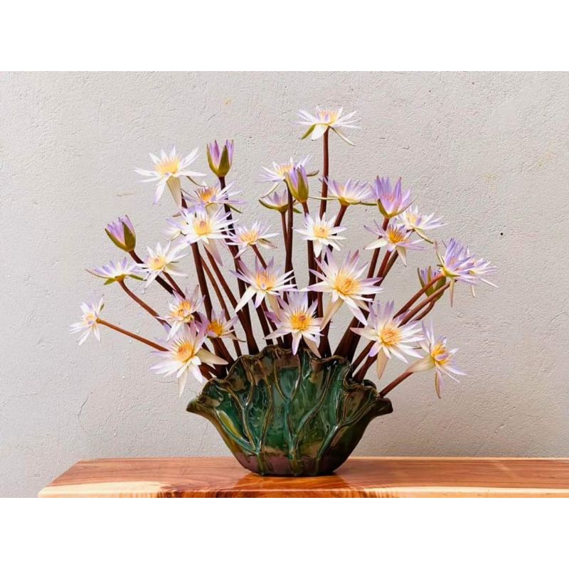 Bình lá sen. Dài 40;cao24: miệng rộng 16cm. Sứ Bát Tràng