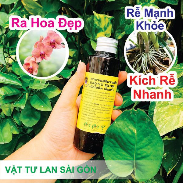 Thuốc kích rễ Thái Lan cực mạnh Exotic cai 100ml