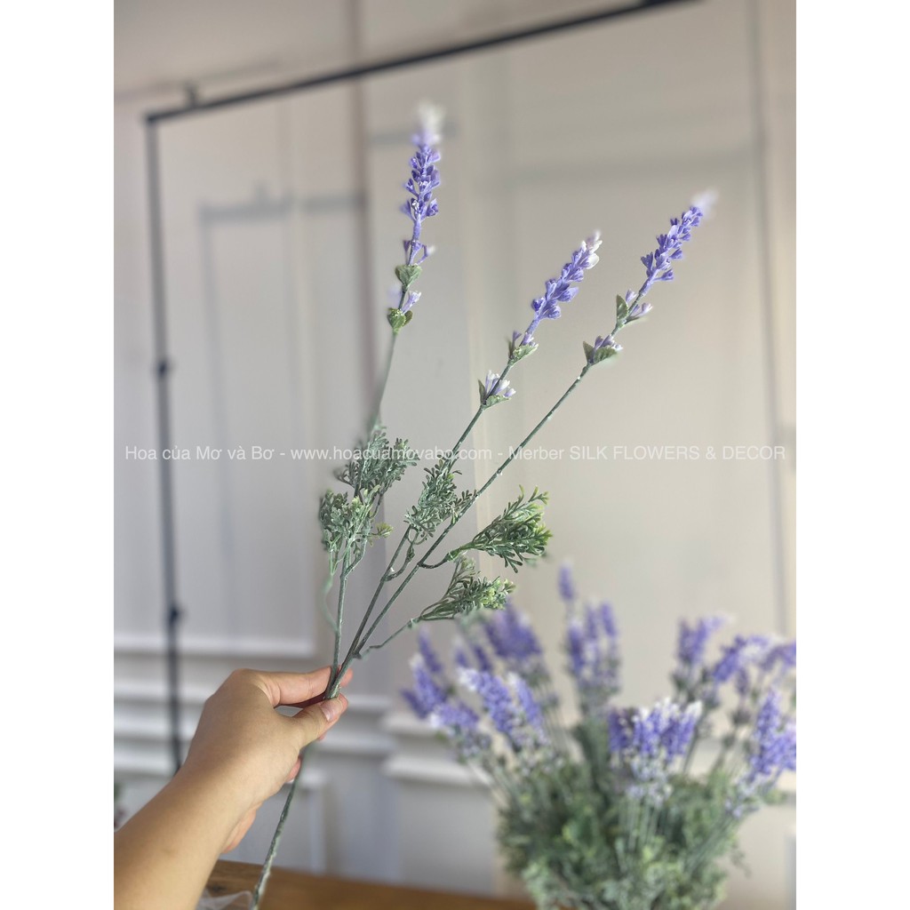 Cành Hoa Lavender, Oải Hương Lụa Giả Cao Cấp Merber - Hoa Khô Phủ Phấn Tuyết Phù Hợp Trang Trí Decor Phòng, Nhà...