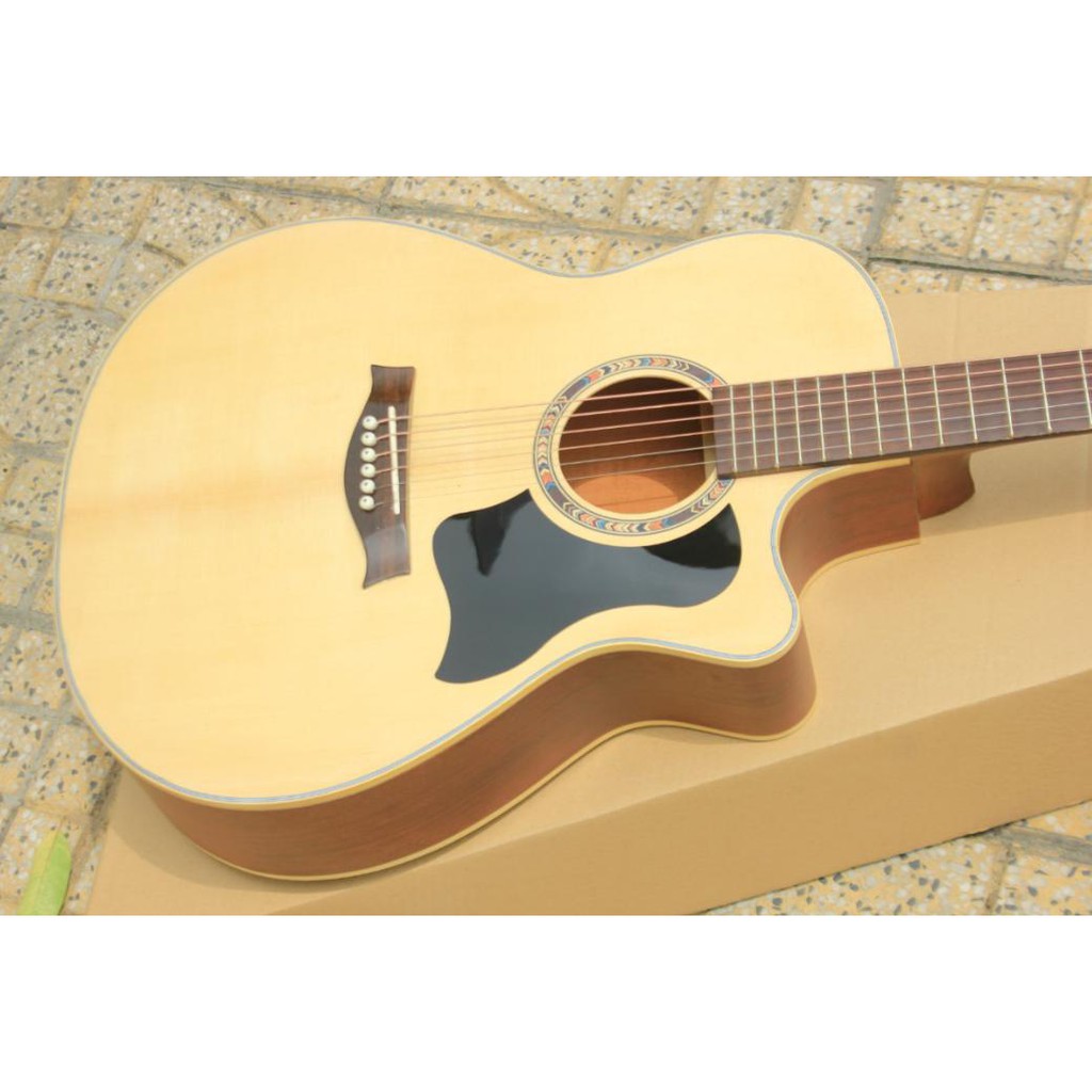 Guitar gỗ hồng đào kỹ ELVS220