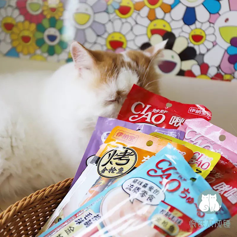 Súp Thưởng Ciao Túi 4 Gói 4*14gr Full 18 vị