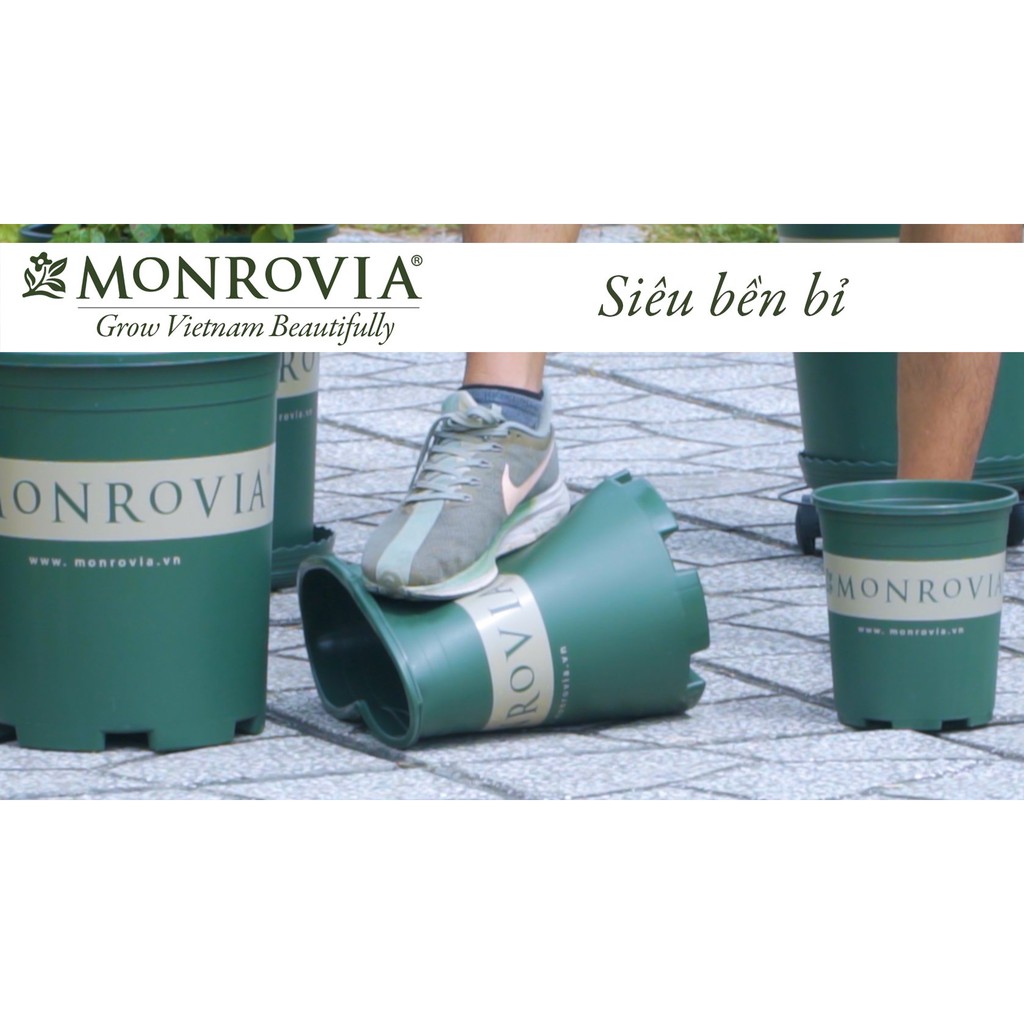 COMBO 3 Chậu nhựa trồng cây MONROVIA 3 Gallon