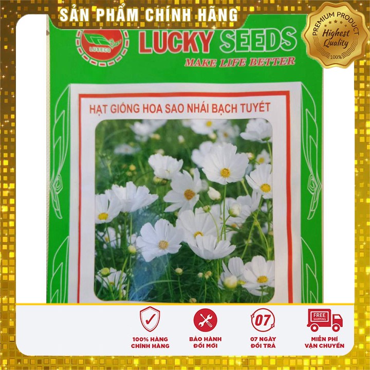 Hạt giống hoa sao nhái bạch tuyết LUCKY SEEDS