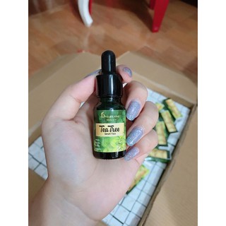 Serum Tràm Trà
