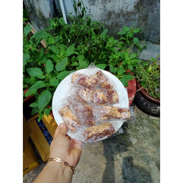 Thanh gạo lứt siêu hat mix chà bông thanh gạo lức ăn healthy TRAMSHOP1993 nhà làm