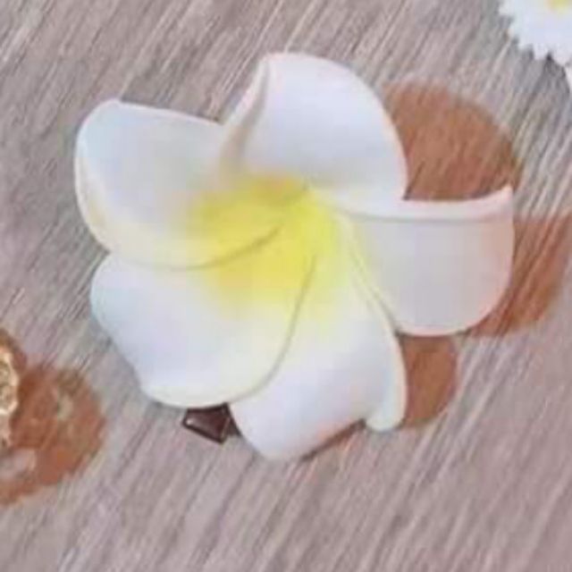 🌺FULL SET CẶP SỐNG ẢO