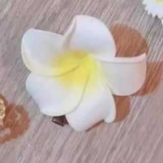 🌺full set cặp sống ảo