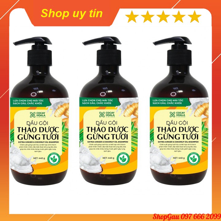 [FREESHIP] Dầu gội thảo dược gừng tươi [MẪU MỚI] Cỏ Cây Hoa Lá sạch gàu, kích thích mọc tóc, giảm gãy rụng | BigBuy360 - bigbuy360.vn