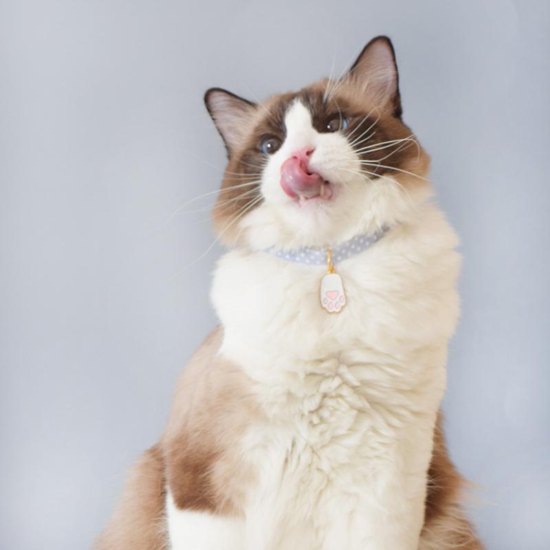 Vòng đeo cổ đính chuông kiểu dáng đáng yêu cho thú cưng