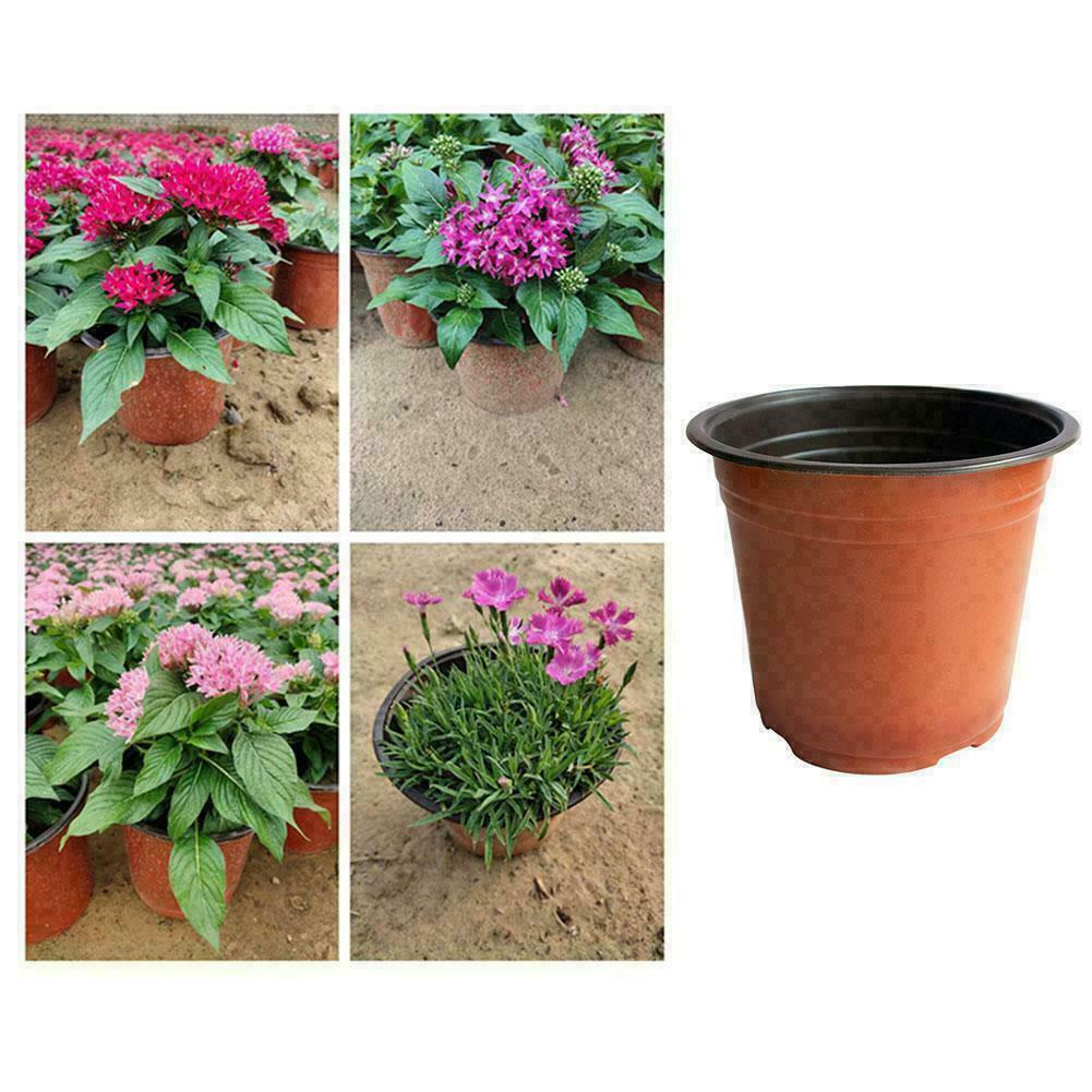 1 Chậu Nhựa Trồng Cây Q9O3