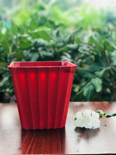 Chậu Vuông Khía