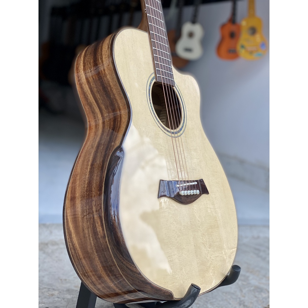 Đàn Guitar Acoustic ST- D1 gỗ điệp kĩ