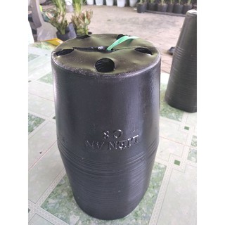 Chậu nhựa size 8,