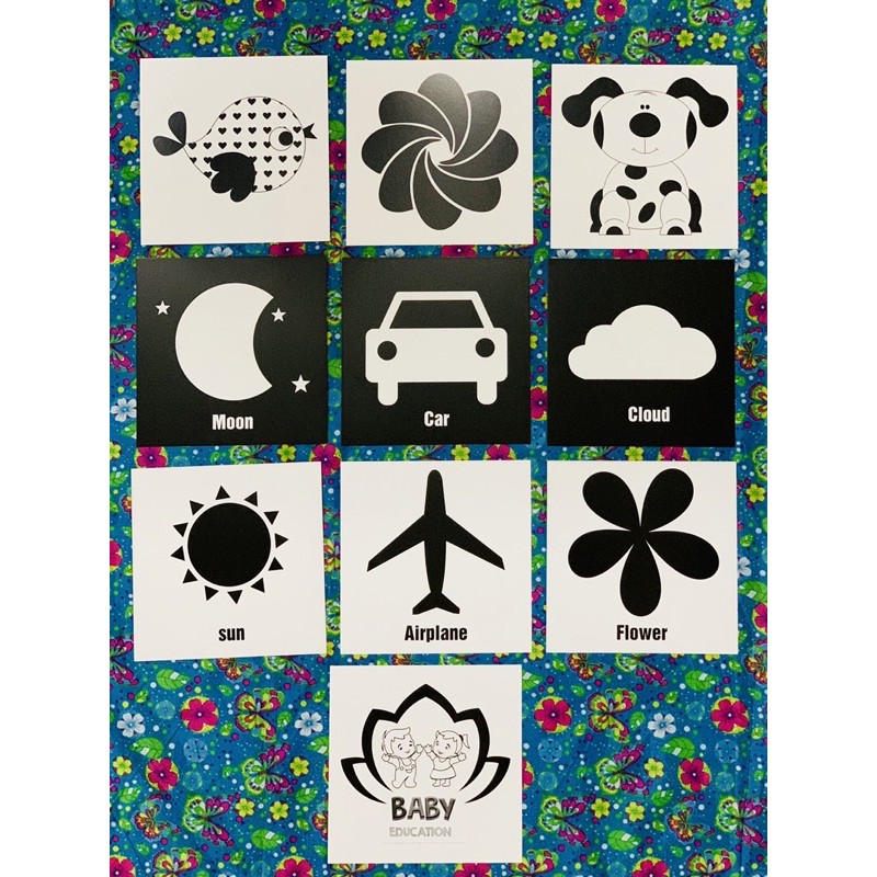 Bộ thẻ Flashcard Đen trắng kích thích thị giác